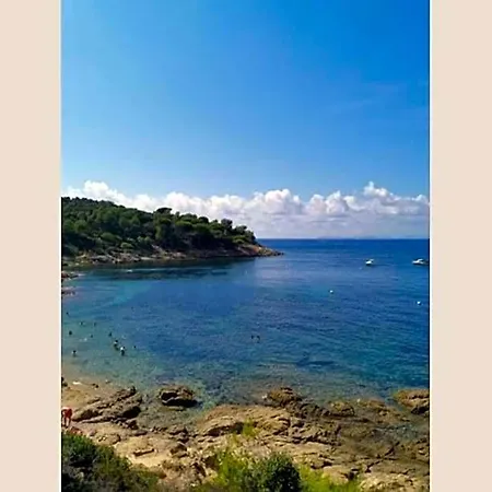 Mazet De Gigaro, Face A La Pinede * La Croix-Valmer